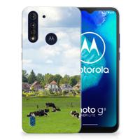 Motorola Moto G8 Power Lite | TPU Hoesje | Koeien