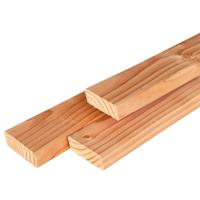 Rhombus douglas 2,0x6,7x180 cm Tuindeco - Tuindeco