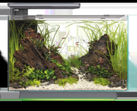 Superfish Quadro 70 Pro Multi Colour zwart