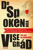 De spoken van Visegrád - Ivo van de Wijdeven - ebook
