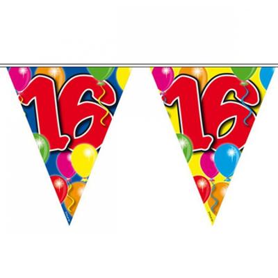 Leeftijd slinger - 16 jaar - 10 meter - versiering vlaggenlijn / vlaggetjes Leeftijd slinger - 16 jaar - 10 meter - versiering vlaggenlijn / vlaggetjes