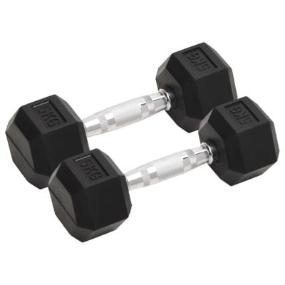 Halters 2 st 10 kg totaal gietijzer