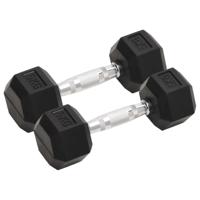 Halters 2 st 10 kg totaal gietijzer