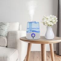 VidaXL Ultrasone bevochtiger met koele mist en nachtlamp 6 l 300 ml/u