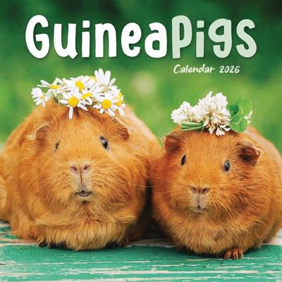 Cavia Kalender 2026 Mini