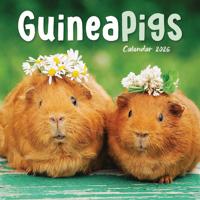 Cavia Kalender 2026 Mini