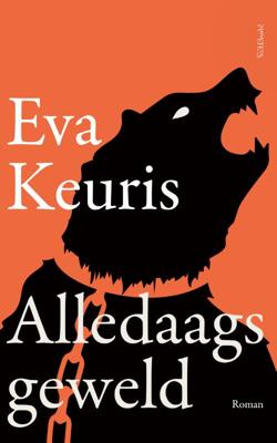 Alledaags geweld (Paperback)
