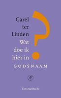 Wat doe ik hier in godsnaam? - Carel ter Linden - ebook