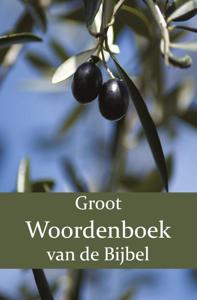 Groot Woordenboek van de Bijbel A-H (Paperback)
