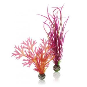 Biorb N-Plantenset M rood en roze