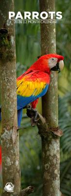 Papegaaien Slimline Kalender 2026