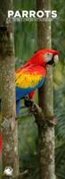 Papegaaien Slimline Kalender 2026
