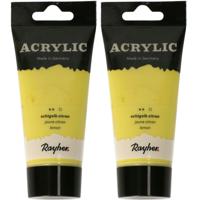 Acrylverf/hobbyverf op waterbasis - 2x - geel - 75 ml - Schilderen/knutselen