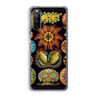 Haeckel Ascidiae: Sony Xperia 10 III Transparant Hoesje