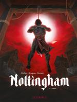 Robin (Paperback)