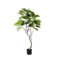 Kunst Ficus in pot M