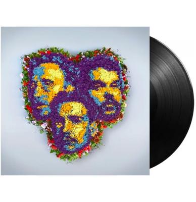 Goldband - Betaalbare Romantiek 2LP LAATSTE STUKS