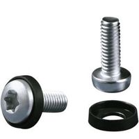 M6 Torx bout Type: M6 x 15 mm Zak 50 stuks - thumbnail