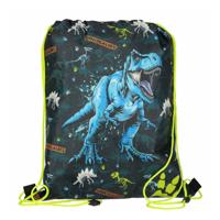 Gymtas Dino met Poten