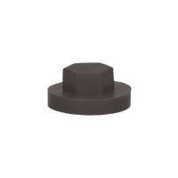pgb-Europe PGB-FASTENERS | Afdekkap zeskant SW 3/8" (16mm) R8019 0AFD06N00001680195