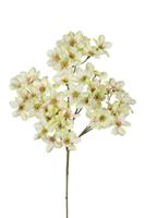 Dogwood mini l69cm lt groen kunstbloem Louis Maes - Louis maes