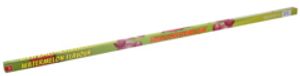 2 stuks FunLab Kauwgom Xtra Long Watermelon 85g - Online Boodschappen bij Butlon - Voor 12 uur besteld, morgen bezorgd