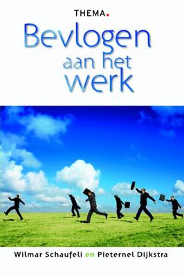 Bevlogen aan het werk (Paperback)