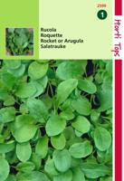 Rucola Coltivata Eruca Vesicaria Sativa - Hortitops