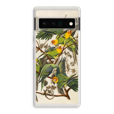 Carolinaparkiet: Google Pixel 6 Pro Transparant Hoesje