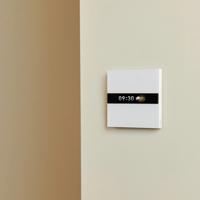 Aqara Display Switch V1