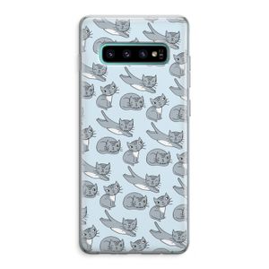 Poezen: Samsung Galaxy S10 Plus Transparant Hoesje