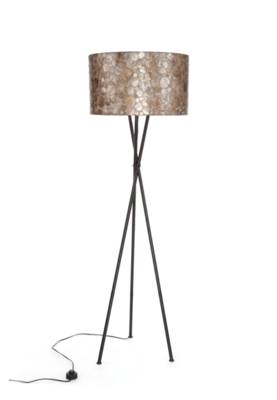 Vloerlamp Coin Gold Kodiak