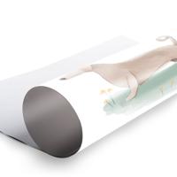 Geboorteposter ontwerpen - 30 x 40 cm