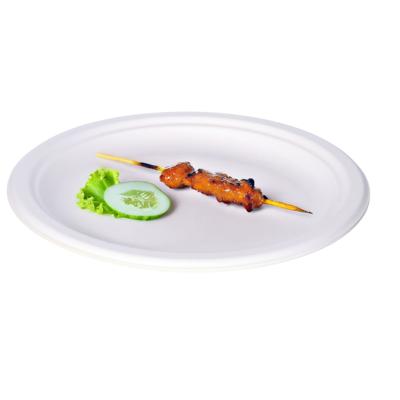 BBQ/Verjaardag feest bordjes - 8x - 1-vaks - wit - D23 cm - suikerrietpulp - composteerbaar