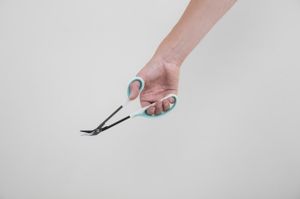 Teennagelschaar op lange steel