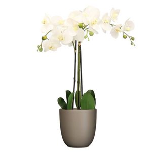 Orchidee kunstplant wit - 75 cm - inclusief bloempot taupe mat - Kunstplanten