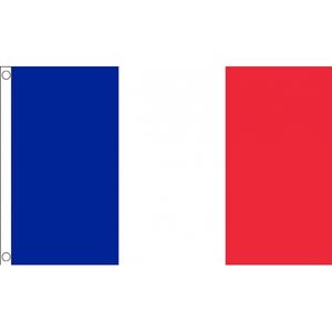 Mini supporters landen vlag Frankrijk 60 x 90 cm