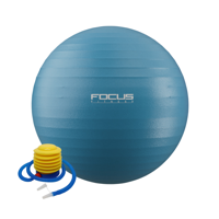 Gym Ball - Focus Fitness - 55 cm - incl. voetpomp - thumbnail