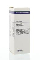 Alchemilla vulgaris D12
