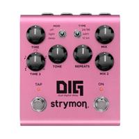 Strymon DIG V2