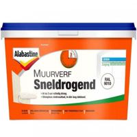 Sneldr. muurverf ral9010 5l - Alabastine
