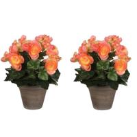 Mica Decoration Kunstplant - 2x - begonia - zalmroze - in pot - 25 cm - nepplanten