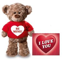 Valentijnskaart en knuffelbeer 24 cm Be mine rood shirt   -