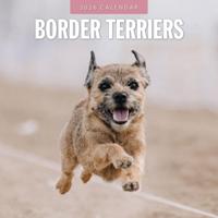 Border Terrier Kalender 2026