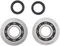 RMS krukas lagerset ball bearings-sealing rin k-shaft piaggio 2-t.