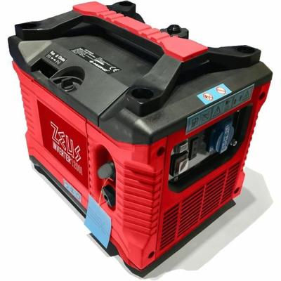Omvormer ZEUZ 1000 W 1200 W