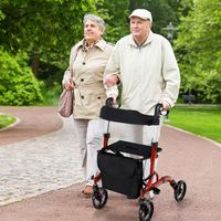 Rollator Opvouwbaar en Licht met Zitting Loophulp 6-Voudig in Hoogte Verstelbaar Loopwagen met Tas en Stokhouder & 2 Remmen
