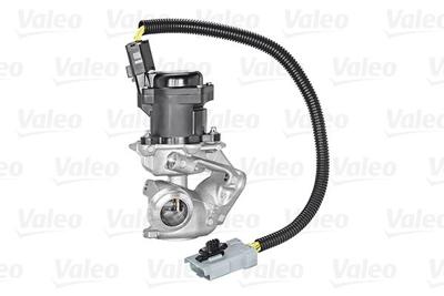 EGR-klep 700409