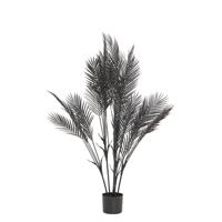 Light & Living - Pot PALMTREE - Ø110x120cm - Zwart