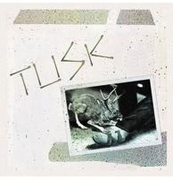 Camper Van Beethoven - Tusk (Paars & Kristal Helder Vinyl) (Record Store Day 2026) 2 (LP)